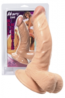 Přirozený, realistický penis s varlaty a přísavkou, zakřivený